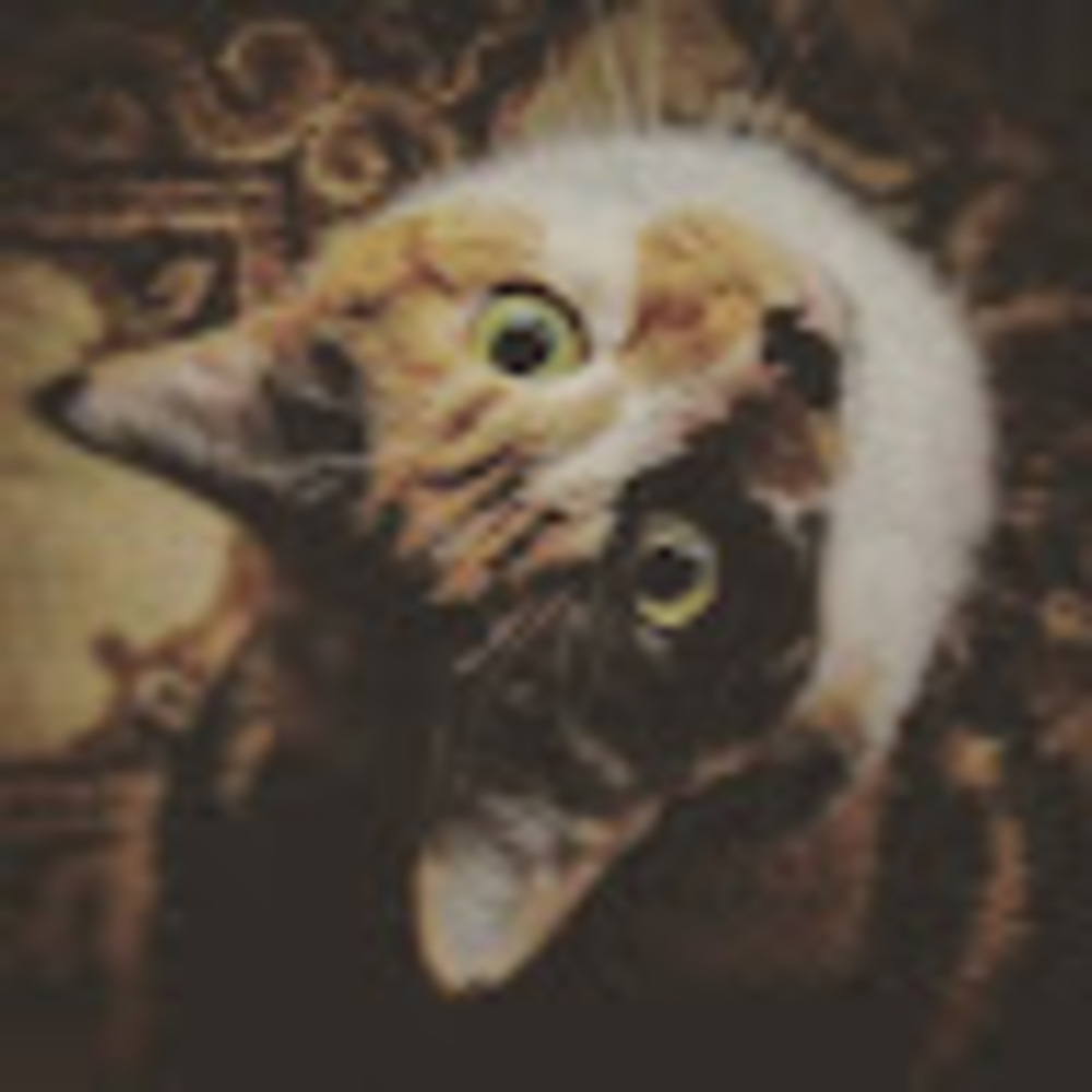 Meet your Posher, Afifah